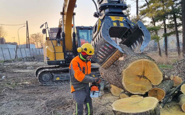 FORESTRY WORK