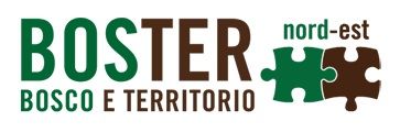  - Manutenzione boschi e territorio montano? Dal 15 al 17 settembre visita BOSTER nord est - Udine!