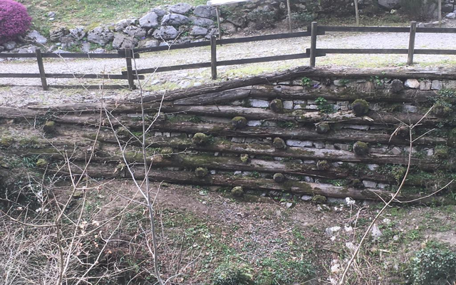 il muro marcito